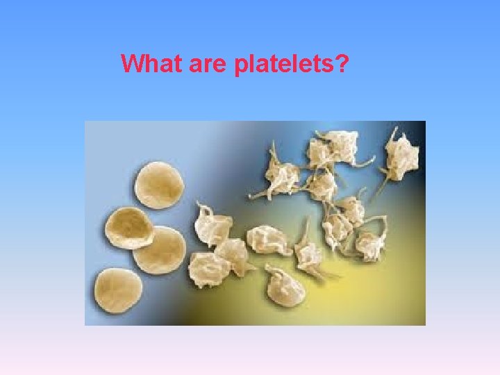 What are platelets? 