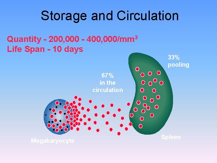 Storage and Circulation Quantity - 200, 000 - 400, 000/mm 3 Life Span -