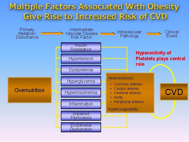 Primary Metabolic Disturbance Intermediate Vascular Disease Risk Factor Intravascular Pathology Insulin Resistance Clinical Event