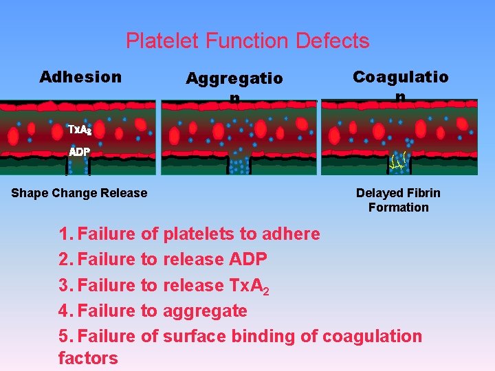 Platelet Function Defects Adhesion Shape Change Release Aggregatio n Coagulatio n Delayed Fibrin Formation