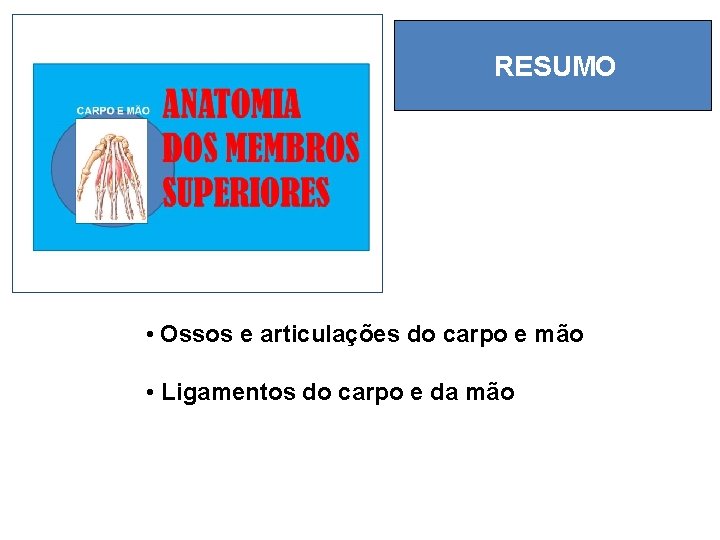 RESUMO • Ossos e articulações do carpo e mão • Ligamentos do carpo e