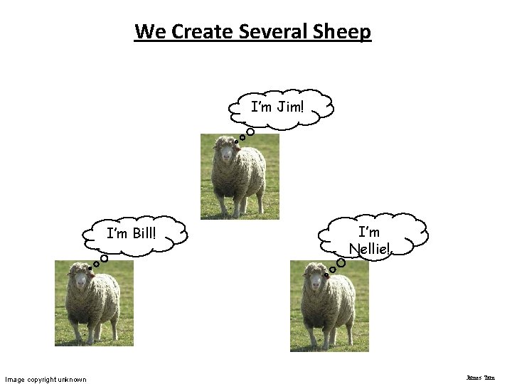 We Create Several Sheep I’m Jim! I’m Bill! Image copyright unknown I’m Nellie! James