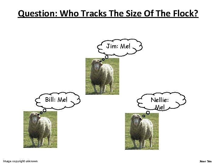 Question: Who Tracks The Size Of The Flock? Jim: Me! Bill: Me! Image copyright