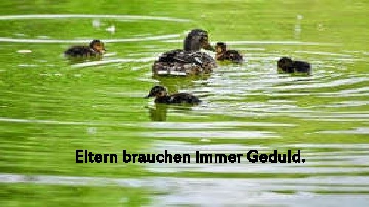 Eltern brauchen immer Geduld. 