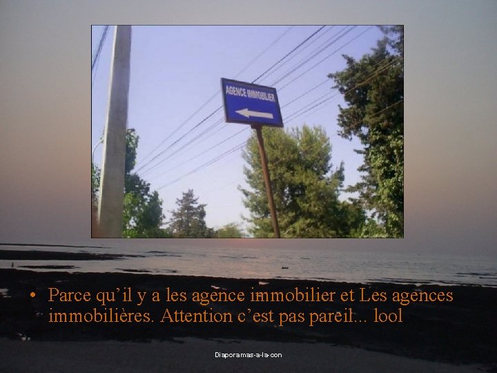  • Parce qu’il y a les agence immobilier et Les agences immobilières. Attention