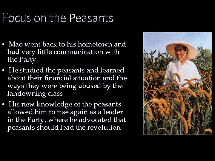 Focus on the Peasants • Mao went back to his hometown and had very