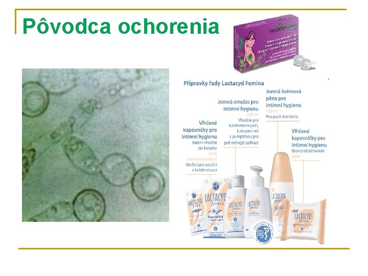 Pôvodca ochorenia 