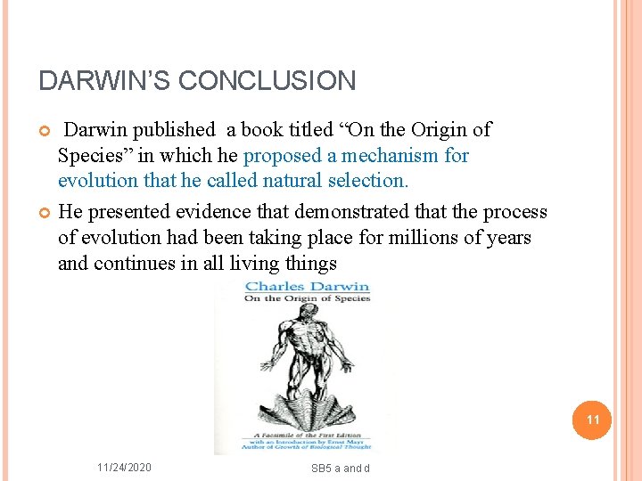 DARWIN’S CONCLUSION Darwin published a book titled “On the Origin of Species” in which