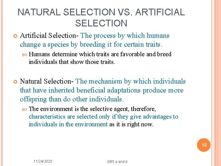 NATURAL SELECTION VS. ARTIFICIAL SELECTION Artificial Selection- The process by which humans change a