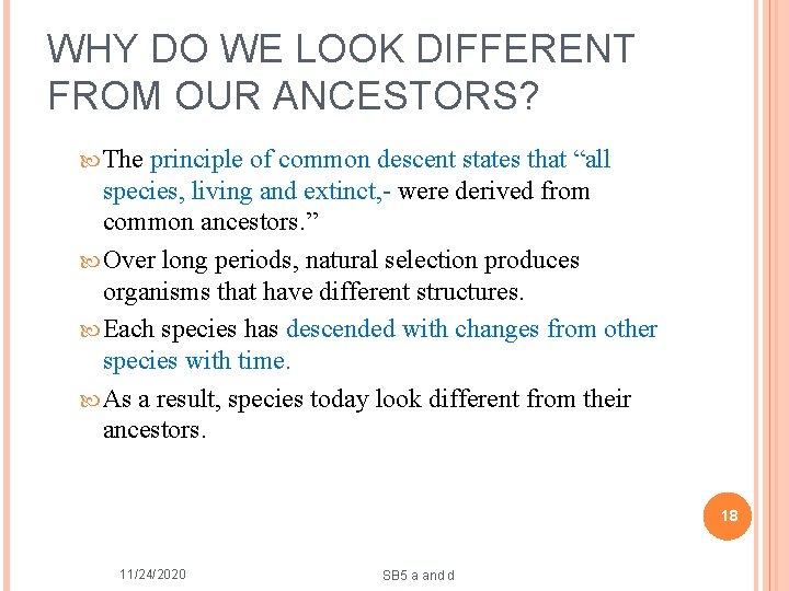 WHY DO WE LOOK DIFFERENT FROM OUR ANCESTORS? The principle of common descent states