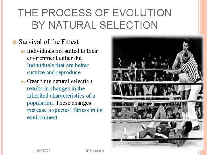 THE PROCESS OF EVOLUTION BY NATURAL SELECTION Survival of the Fittest Individuals not suited