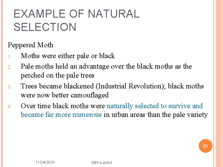 EXAMPLE OF NATURAL SELECTION Peppered Moth 1. Moths were either pale or black 2.