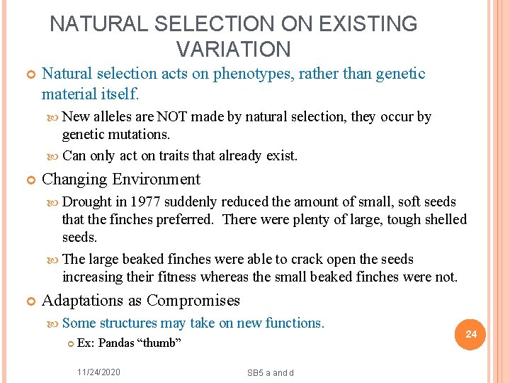 NATURAL SELECTION ON EXISTING VARIATION Natural selection acts on phenotypes, rather than genetic material