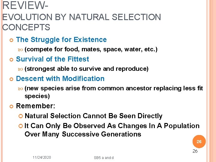 REVIEWEVOLUTION BY NATURAL SELECTION CONCEPTS The Struggle for Existence (compete for food, mates, space,