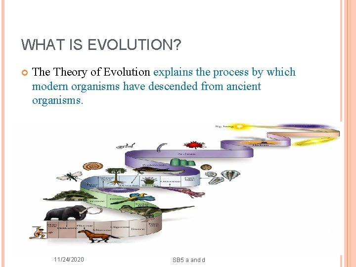 WHAT IS EVOLUTION? Theory of Evolution explains the process by which modern organisms have