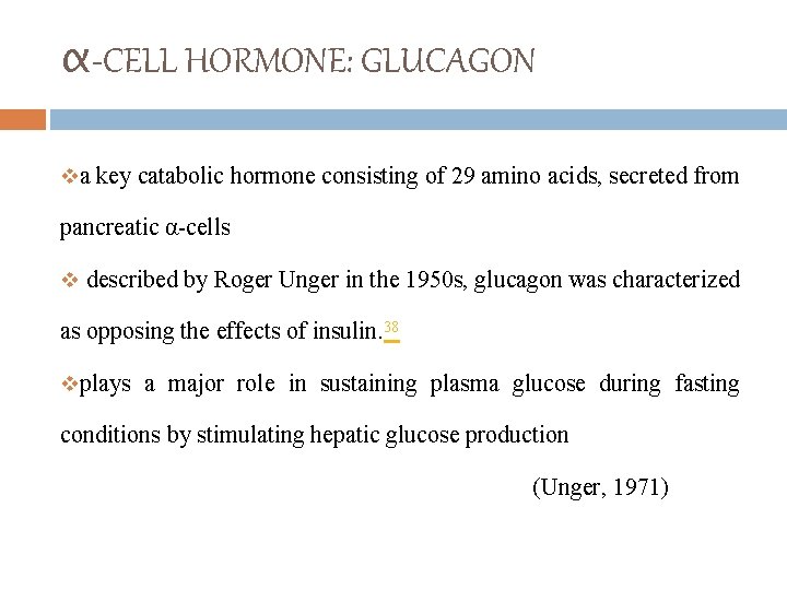 α-CELL HORMONE: GLUCAGON va key catabolic hormone consisting of 29 amino acids, secreted from