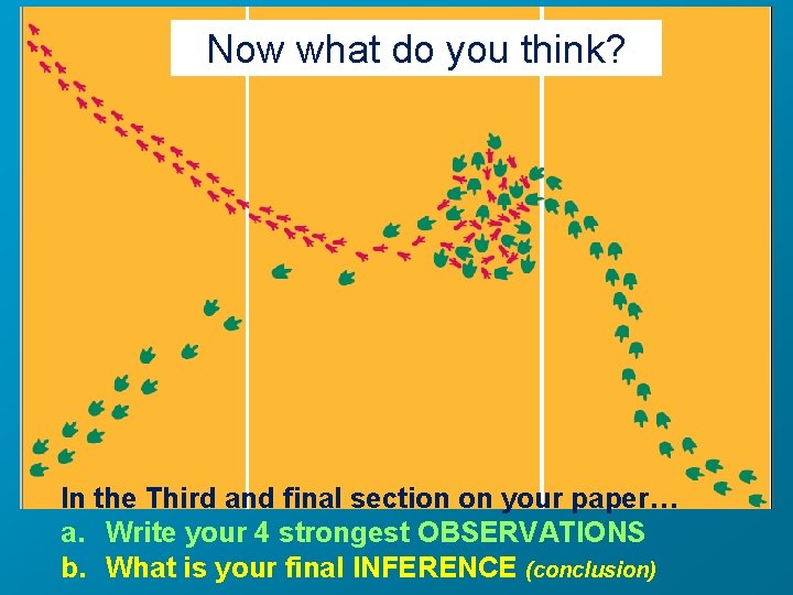 Now what do you think? In the Third and final section on your paper…