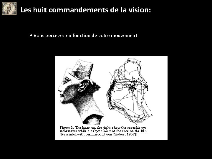 Les huit commandements de la vision: • Vous percevez en fonction de votre mouvement