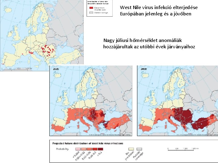 West Nile virus infekció elterjedése Európában jelenleg és a jövőben Nagy júliusi hőmérséklet anomáliák