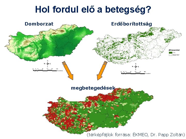 Hol fordul elő a betegség? Domborzat Erdőborítottság megbetegedések (térképfájlok forrása: ÉKMEO, Dr. Papp Zoltán)