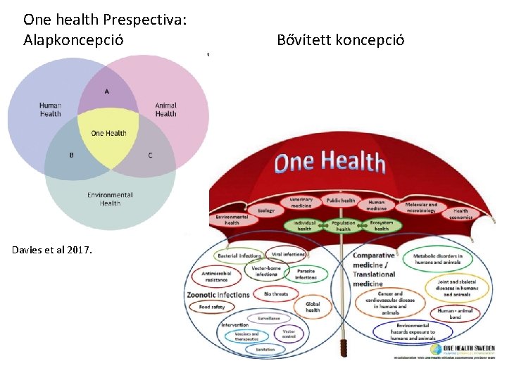 One health Prespectiva: Alapkoncepció Davies et al 2017. Bővített koncepció 