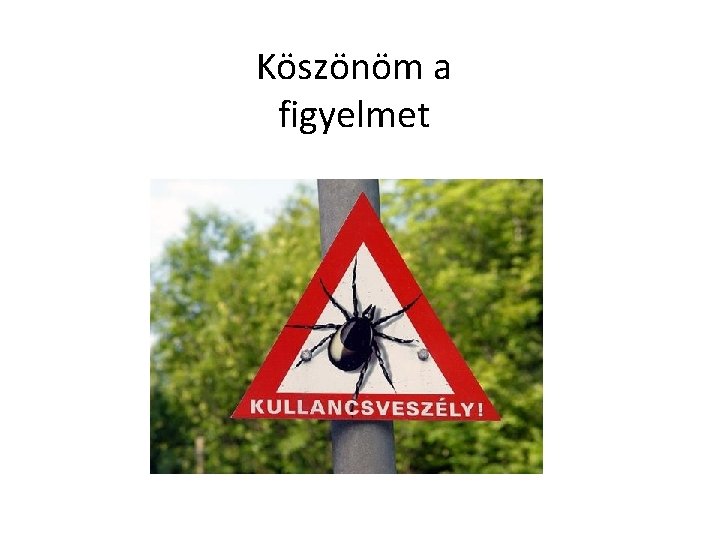 Köszönöm a figyelmet 