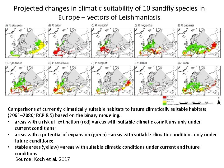 Projected changes in climatic suitability of 10 sandfly species in Europe – vectors of