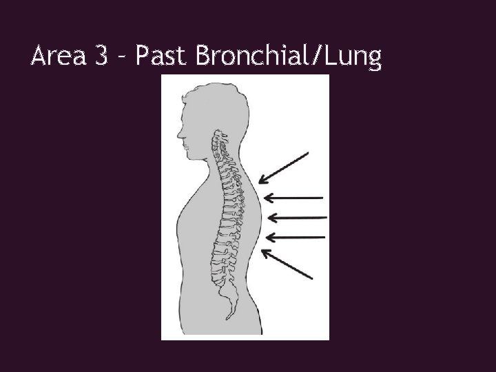 Area 3 – Past Bronchial/Lung 