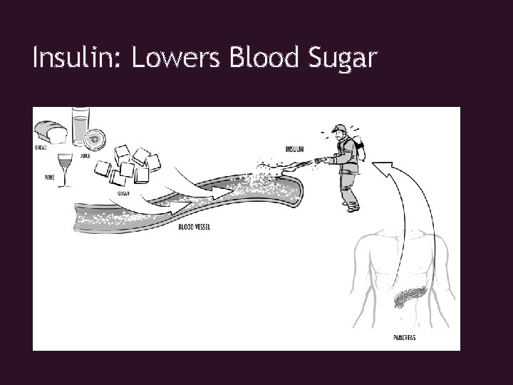 Insulin: Lowers Blood Sugar 