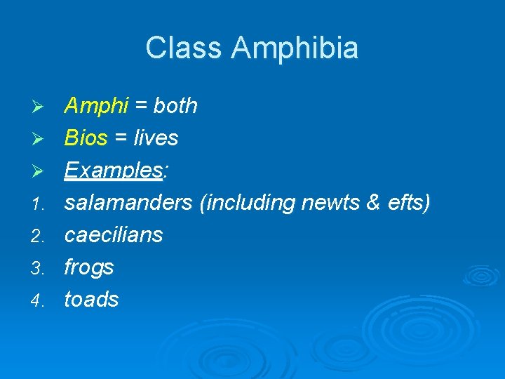 Class Amphibia Ø Ø Ø 1. 2. 3. 4. Amphi = both Bios = Class Amphibia Ø Ø Ø 1. 2. 3. 4. Amphi = both Bios =