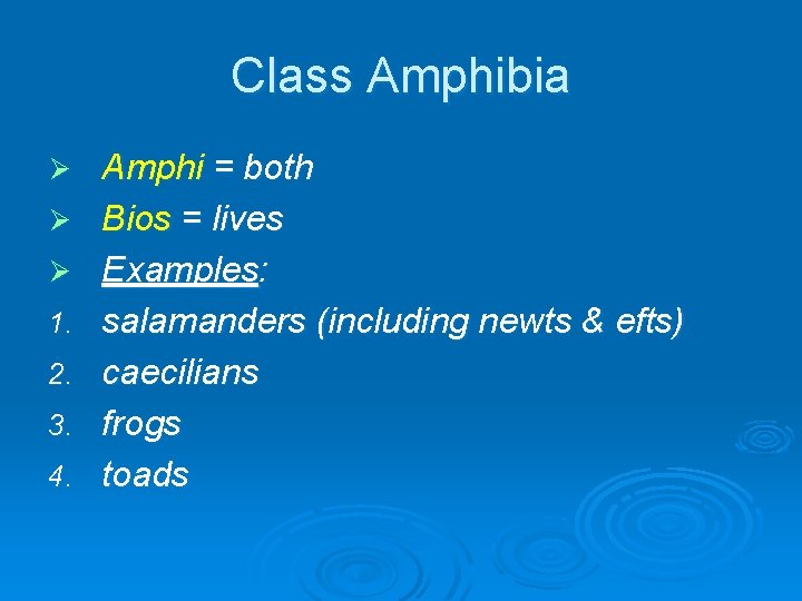 Class Amphibia Ø Ø Ø 1. 2. 3. 4. Amphi = both Bios =