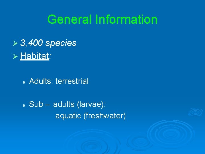 General Information Ø 3, 400 species Ø Habitat: l l Adults: terrestrial Sub –