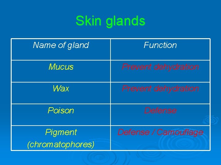 Skin glands Name of gland Function Mucus Prevent dehydration Wax Prevent dehydration Poison Defense Skin glands Name of gland Function Mucus Prevent dehydration Wax Prevent dehydration Poison Defense