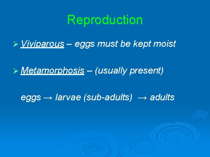Reproduction Ø Viviparous – eggs must be kept moist Ø Metamorphosis – (usually present) Reproduction Ø Viviparous – eggs must be kept moist Ø Metamorphosis – (usually present)