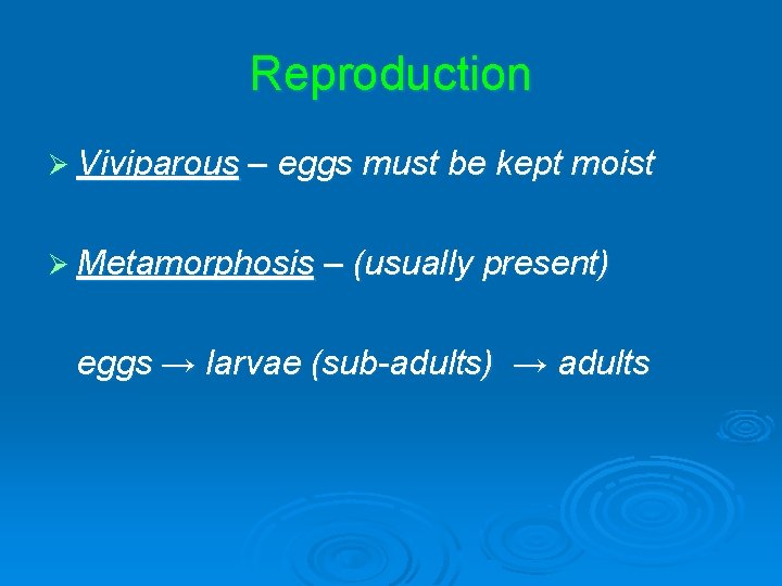 Reproduction Ø Viviparous – eggs must be kept moist Ø Metamorphosis – (usually present)