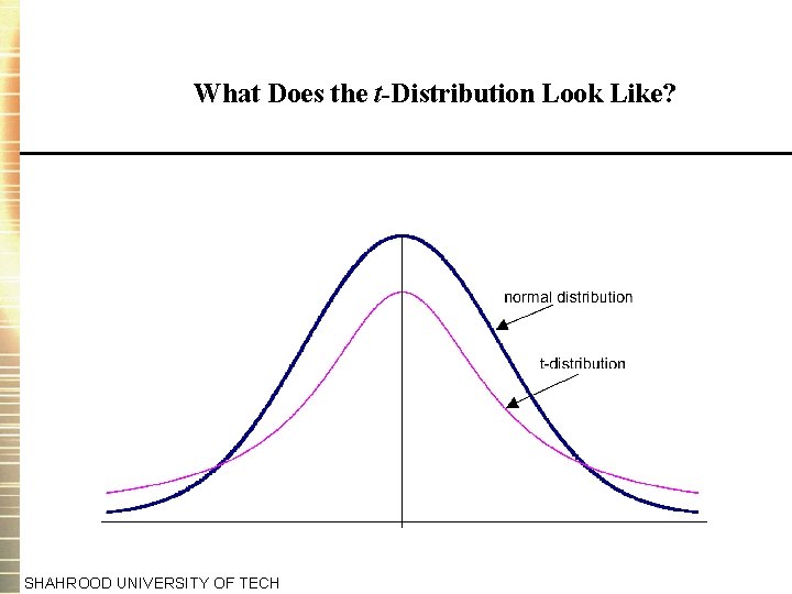 What Does the t-Distribution Look Like? SHAHROOD UNIVERSITY OF TECH 
