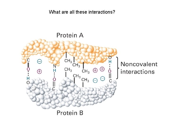 What are all these interactions? 