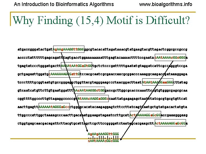 An Introduction to Bioinformatics Algorithms www. bioalgorithms. info Why Finding (15, 4) Motif is An Introduction to Bioinformatics Algorithms www. bioalgorithms. info Why Finding (15, 4) Motif is