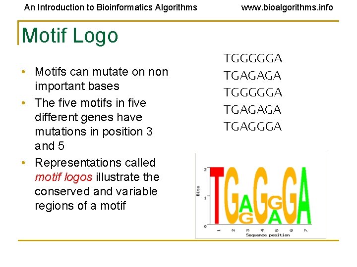 An Introduction to Bioinformatics Algorithms www. bioalgorithms. info Motif Logo • Motifs can mutate An Introduction to Bioinformatics Algorithms www. bioalgorithms. info Motif Logo • Motifs can mutate
