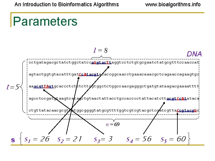 An Introduction to Bioinformatics Algorithms www. bioalgorithms. info Parameters l=8 DNA cctgatagacgctatctggctatcca. Ggtac. Ttaggtcctctgtgcgaatctatgcgtttccaaccat An Introduction to Bioinformatics Algorithms www. bioalgorithms. info Parameters l=8 DNA cctgatagacgctatctggctatcca. Ggtac. Ttaggtcctctgtgcgaatctatgcgtttccaaccat