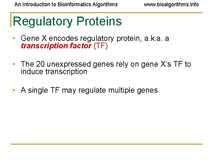 An Introduction to Bioinformatics Algorithms www. bioalgorithms. info Regulatory Proteins • Gene X encodes An Introduction to Bioinformatics Algorithms www. bioalgorithms. info Regulatory Proteins • Gene X encodes