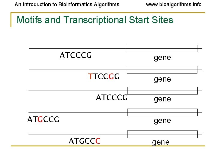 An Introduction to Bioinformatics Algorithms www. bioalgorithms. info Motifs and Transcriptional Start Sites ATCCCG An Introduction to Bioinformatics Algorithms www. bioalgorithms. info Motifs and Transcriptional Start Sites ATCCCG