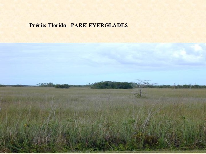Prérie: Florida - PARK EVERGLADES 