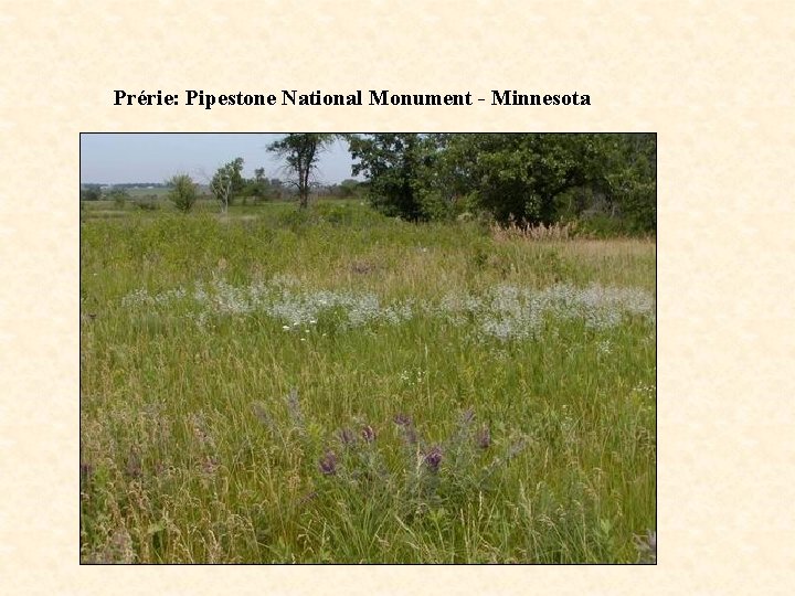 Prérie: Pipestone National Monument - Minnesota 