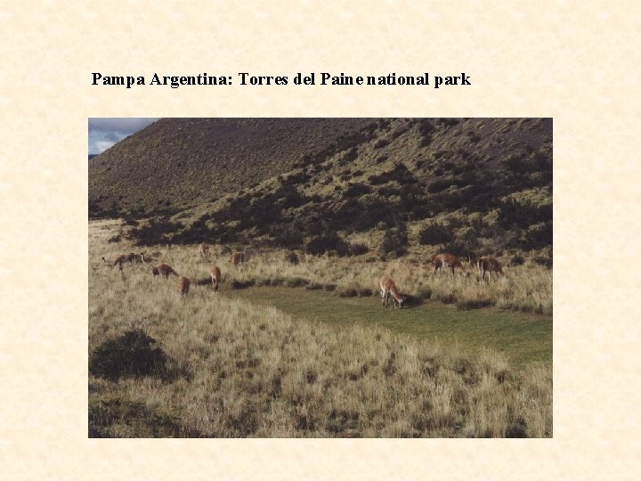 Pampa Argentina: Torres del Paine national park 