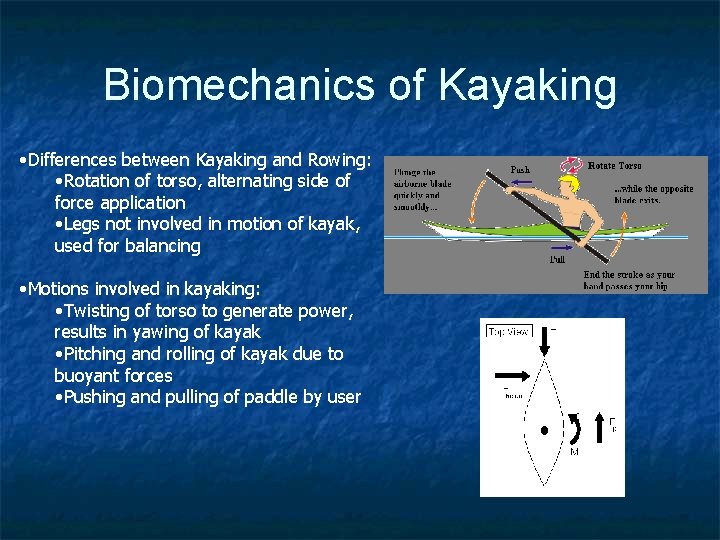 Biomechanics of Kayaking • Differences between Kayaking and Rowing: • Rotation of torso, alternating