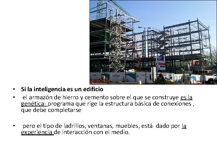  • Si la inteligencia es un edificio • el armazón de hierro y