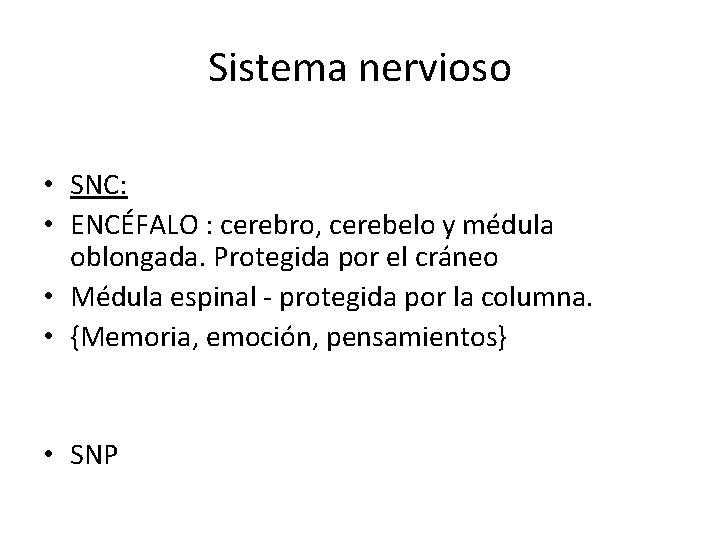 Sistema nervioso • SNC: • ENCÉFALO : cerebro, cerebelo y médula oblongada. Protegida por