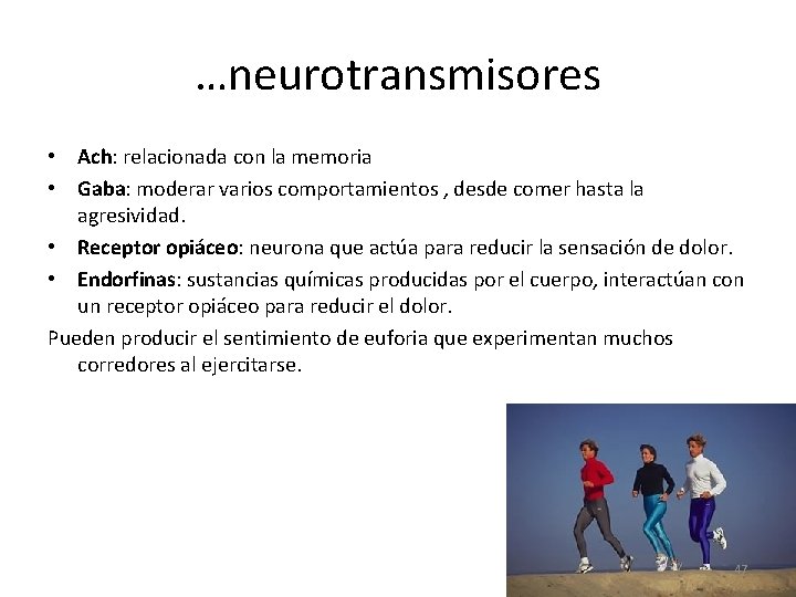 …neurotransmisores • Ach: relacionada con la memoria • Gaba: moderar varios comportamientos , desde