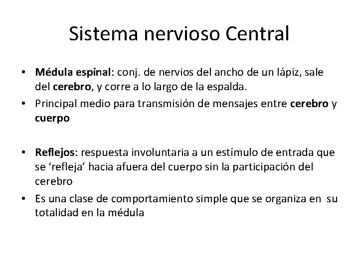 Sistema nervioso Central • Médula espinal: conj. de nervios del ancho de un lápiz,